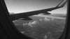 Launch Intention Artist & Founder arrives in Miami for Art Basel and prepares for his activation at Context Art Miami.